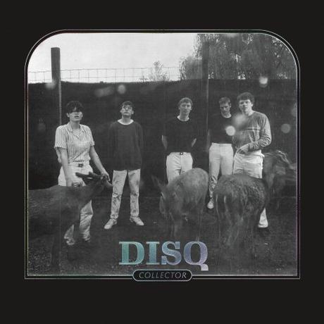 Disq – ‘Collector’ album review