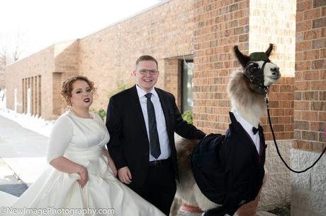 Man Brings Llama to Sis's Wedding