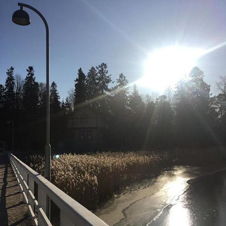 Nothing better for inspiring the creative mind than fresh air, new surroundings and nature. .
.
.
#nature #finland #inspiration #winter #sunshine #blueskies #travel https://ift.tt/38ebC9J