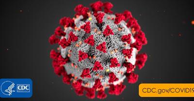 Regarding the Corona Virus--Tips from a Pro