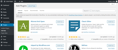How to Clear Your Cache in WordPress?