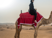 Significant Saudi Female Travel Instagrammers
