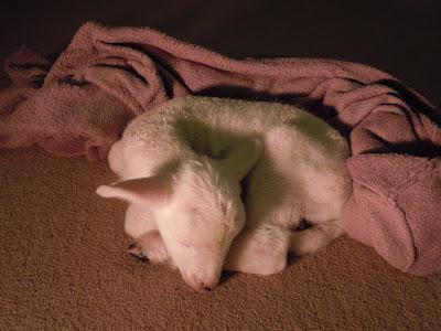 The Weekly Musing - AprilWeekFour