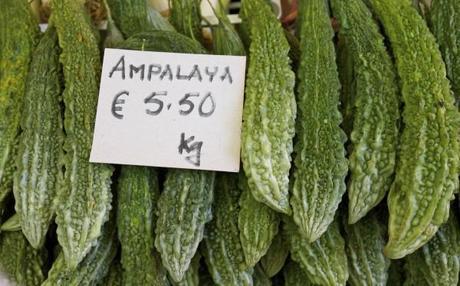 rome market ampalaya