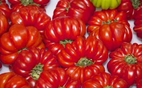 rome market pomodori ribbed tomatoes