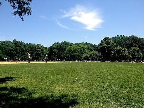 great lawn central park.JPG