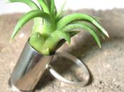 Trends: Plants Rings, Necklaces, Etc. What Think?...