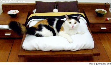 Cedel Pets & Style, Zen Model Pet Bed: image via newslite.tv