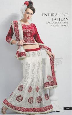 Latest Beautiful & Graceful Bridal Saree Collection 2012