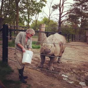 A day at the Toronto Zoo