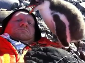 Viral Video: Baby Penguin’s First Encounter with Human Captured Video