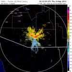 Migration is slowing down with almost no movement last night.