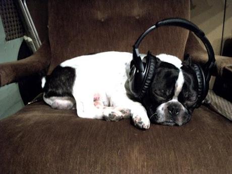 Stitchasleepheadphones-2012-05-24-10-23.jpg