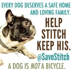 save-stitch-badge-1-2012-05-24-10-23.jpg