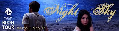 Night Sky by Jolene B. Perry Blog Tour [Review]