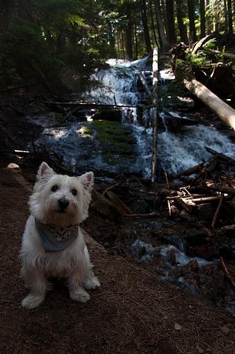 20120513_spokane_libertylake-58