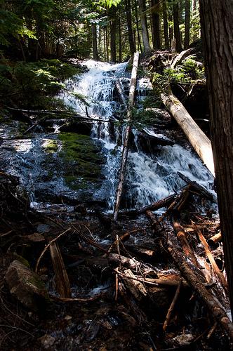 20120513_spokane_libertylake-53