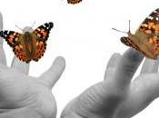 Permission:The Every Beginning