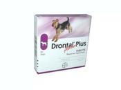 Tackling Your Pet's Worm Problem With Drontal Plus