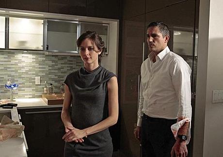 Review #3528: Person of Interest 1.23: “Firewall”