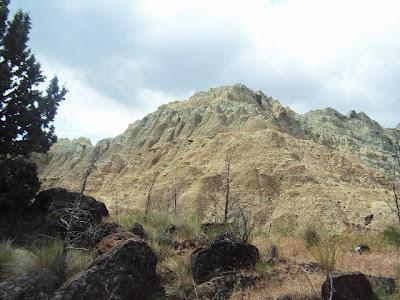 John Day Fossil Beds Field Trip for Honors Biology!