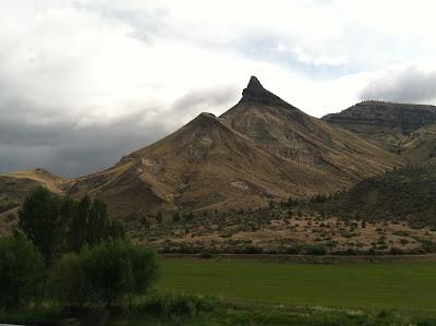 John Day Fossil Beds Field Trip for Honors Biology!