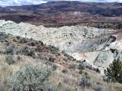 John Day Fossil Beds Field Trip for Honors Biology!