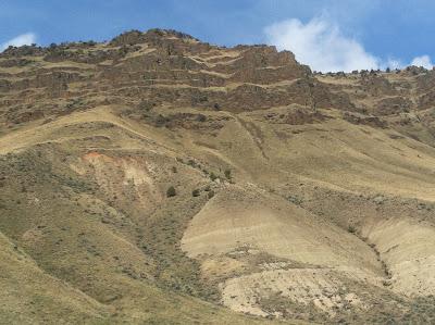 John Day Fossil Beds Field Trip for Honors Biology!