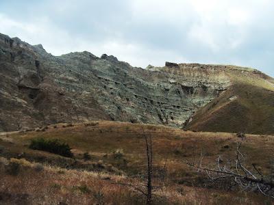 John Day Fossil Beds Field Trip for Honors Biology!