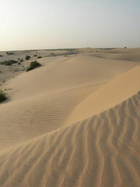 Sahara Desert