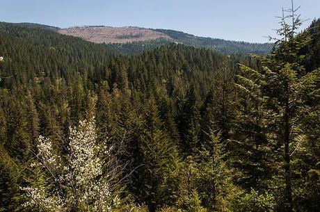 20120513_spokane_libertylake-61