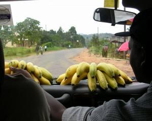 Banana snacks on a Ugandan road trip