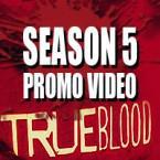 Promo for Conjuring up True Blood Season 4