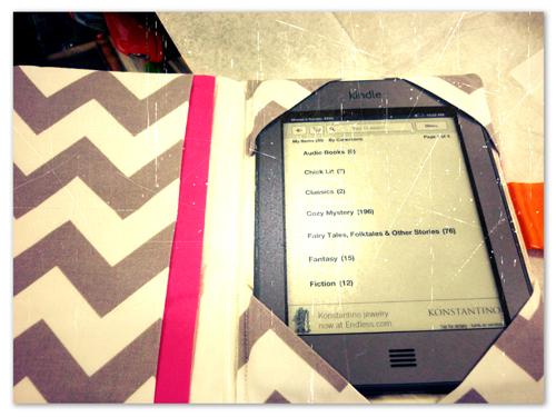 An Oh-So-Cute Cover for My Kindle Touch