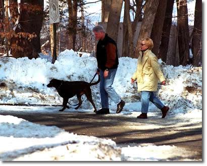 
This article about Bill and Hillary Clinton in Chappaqua, where I grew up, really touches my heart. Because as most people who live in the town know, the Clintons are very visible in the community. Bill goes in for sandwiches at the deli where my little brother worked. Hillary dresses up to vote at my high school. You see them at the movie theater, and at Starbucks.
When he was President, they would shut down all of the highways leading into the town, and the media would flock in the thousands to the parking lot of our local grocery store. Today, his presence is quiet, marked by a Suburban at the end of his road.
I see them the most walking on the road where my parent’s live, usually hand in hand. People say the Clintons are only married for political reasons, but if you were to catch them in such a state, alone except for the team of Secret Service that trail them no matter where they are, you’d see their affection for one another.
My favorite Bill Clinton moments are these:
1. Walking down the driveway with my two adopted sisters when they were babies, and running into Bill Clinton. “Those are some beautiful girls you have there,” he told me.
“Thank you, Mr. President,” I said to him.
2. My little brother, only 6-years-old, engaging in a 25 minute conversation with him about tae kwon do competitions at the local fire station. 
3. My mother and father walking behind them for awhile one winter morning. 
“We saw the Clintons earlier today,” my mother told me later.
“Where?” my dad barked.
“We were walking behind them for like 10 minutes. You said hi to them,” my mother told him.
“That was the Clintons?!” my dad barked.
That’s when I knew he was getting old.
I hope that they don’t move out of Chappaqua. 
(And as a side note, this picture, which I pulled off Google, was taken at a diagonal to my parent’s driveway. The town recently condemned the house behind them, a modern sort of shamble, I assume for being an eyesore.)
