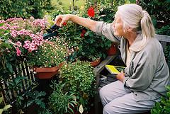 Balcony garden