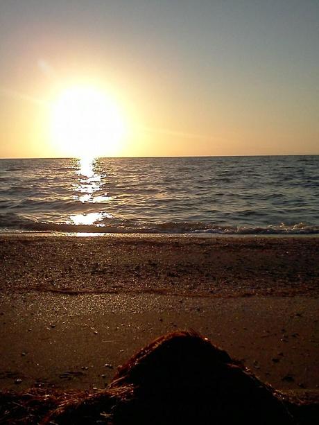 beach at leh shomea 2