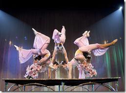 Review: Cirque Shanghai – Year of the Dragon (Navy Pier)