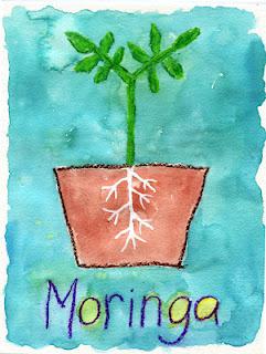 Moringa Tree Painting