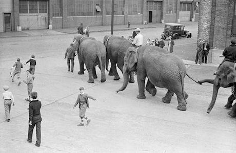 The Circus Comes To Town