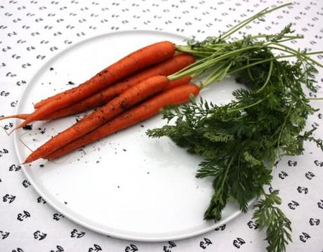 CARROTS SOLARI – A SPECTACULAR EMBARRESSMENT