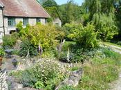 West Littleton Open Gardens