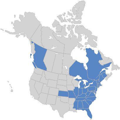 States affected by the Diamond Pet Food recalls as of May: image via foodsafetynews.com