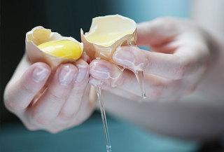 An egg could be contaminated with salmonella if bird feces fall on the shell, for example: image via webmd.com