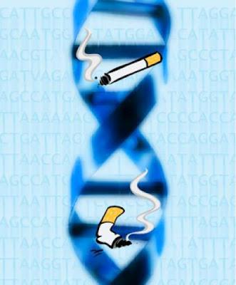 High-Risk Haplotypes in Smokers