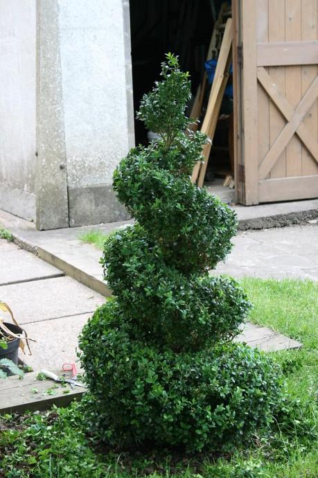 Topiary Box Pruning