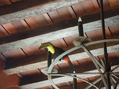 how to cool off in cartagena, part 1