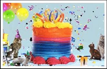 Birthday Surprise Cake eCard, Cat Version: © Sloppy Kiss Cards