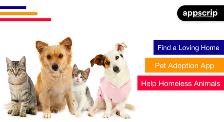 Find a Loving Home | Pet Adoption App | Help Homeless Animals