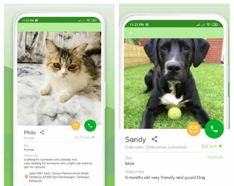 Find a Loving Home | Pet Adoption App | Help Homeless Animals